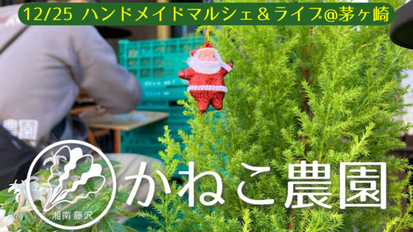 12月25日 クリスマス🎄ハンドメイドマルシェイベント出店のお知らせ